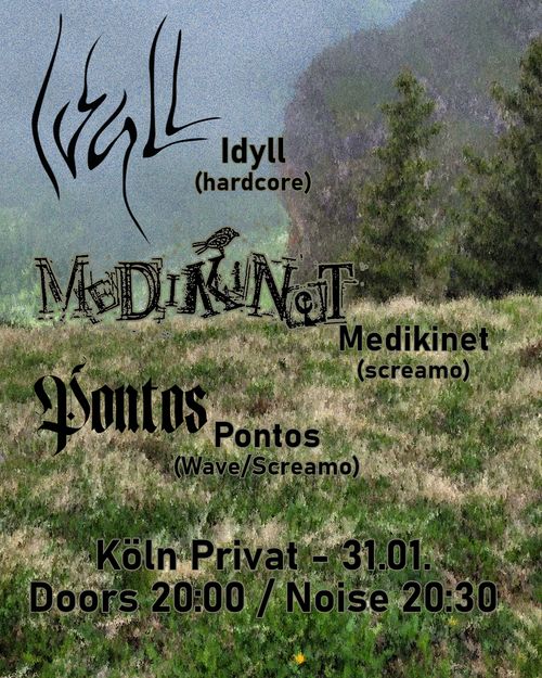 Idyll + Medikinet + Pontos