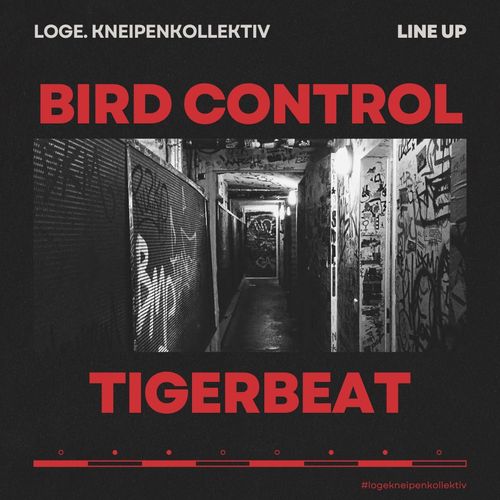 BIRD CONTROL + TIGERBEAT