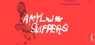 AMYL & THE SNIFFERS